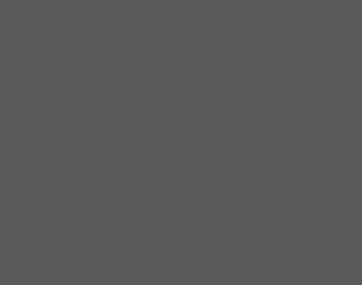 quam ipsum